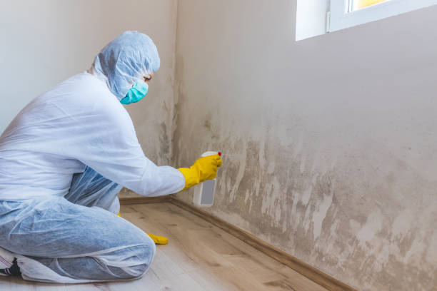 Hvac And Air Duct Mold Remediation inspection of HVAC system in Chaptico